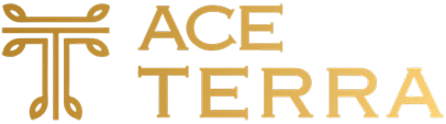 Ace Terra